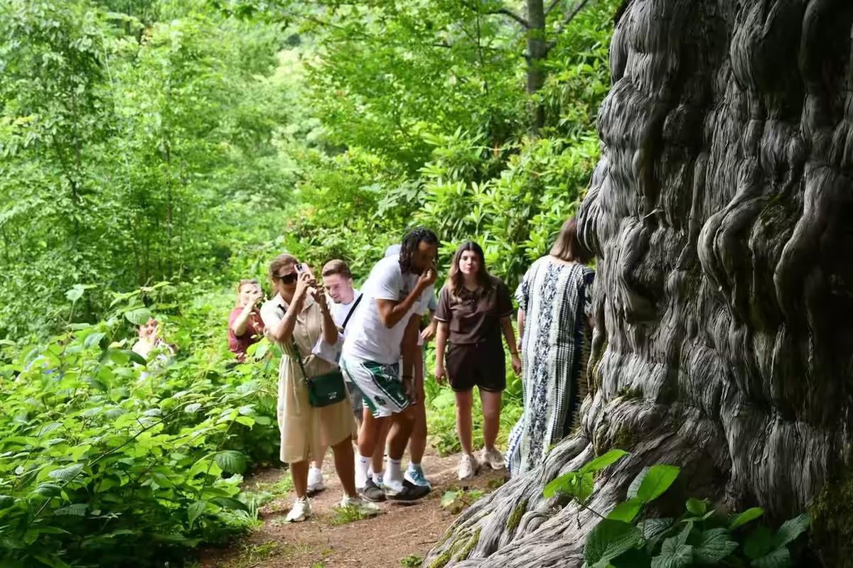 Besuch der Delegation am alten Baum in Gümeli